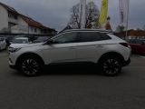 Opel Grandland X bei Gebrauchtwagen.expert - Abbildung (4 / 15)