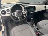 VW Beetle bei Gebrauchtwagen.expert - Abbildung (7 / 11)