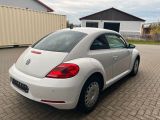 VW Beetle bei Gebrauchtwagen.expert - Abbildung (4 / 11)