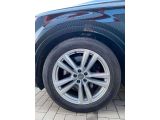 Audi SQ7 bei Gebrauchtwagen.expert - Abbildung (4 / 11)