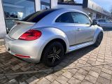 VW Beetle bei Gebrauchtwagen.expert - Abbildung (3 / 15) VW Beetle bei Gebrauchtwagen.expert - Abbildung (3 / 15)