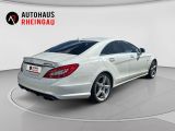 Mercedes-Benz CLS-Klasse bei Gebrauchtwagen.expert - Abbildung (14 / 15)