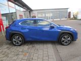 Lexus UX bei Gebrauchtwagen.expert - Abbildung (7 / 15)