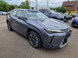 Lexus UX bei Gebrauchtwagen.expert - Abbildung (8 / 15)