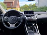 Lexus NX bei Gebrauchtwagen.expert - Abbildung (12 / 15)