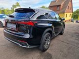 Lexus NX bei Gebrauchtwagen.expert - Abbildung (5 / 15)