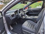 Lexus RX bei Gebrauchtwagen.expert - Abbildung (9 / 15)