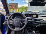 Lexus UX bei Gebrauchtwagen.expert - Abbildung (11 / 15)