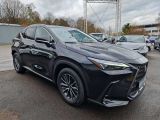 Lexus NX bei Gebrauchtwagen.expert - Abbildung (7 / 15)