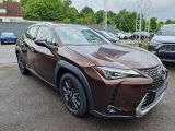 Lexus UX bei Gebrauchtwagen.expert - Abbildung (7 / 15)