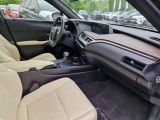 Lexus UX bei Gebrauchtwagen.expert - Abbildung (14 / 15)