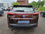 Lexus UX bei Gebrauchtwagen.expert - Abbildung (4 / 15)