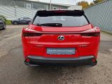 Lexus UX bei Gebrauchtwagen.expert - Abbildung (4 / 15)