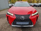 Lexus UX bei Gebrauchtwagen.expert - Abbildung (8 / 15)