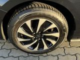 Ford Focus bei Gebrauchtwagen.expert - Abbildung (12 / 15)