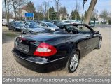 Mercedes-Benz CLK-Klasse bei Gebrauchtwagen.expert - Abbildung (10 / 12)