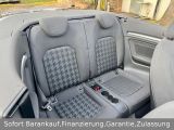 Audi A3 bei Gebrauchtwagen.expert - Abbildung (12 / 15)