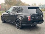 Land Rover Range Rover bei Gebrauchtwagen.expert - Abbildung (6 / 15)