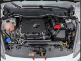 Ford Fiesta bei Gebrauchtwagen.expert - Abbildung (14 / 15)