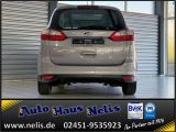 Ford C-MAX bei Gebrauchtwagen.expert - Abbildung (4 / 15)