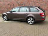 Skoda Octavia bei Gebrauchtwagen.expert - Abbildung (3 / 12)