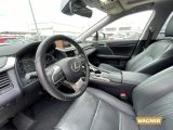 Lexus RX bei Gebrauchtwagen.expert - Abbildung (9 / 15)
