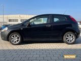 Fiat Grande Punto bei Gebrauchtwagen.expert - Abbildung (6 / 15)