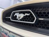 Ford Mustang bei Gebrauchtwagen.expert - Abbildung (14 / 15)
