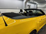 Ford Mustang bei Gebrauchtwagen.expert - Abbildung (12 / 15)
