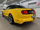 Ford Mustang bei Gebrauchtwagen.expert - Abbildung (7 / 15)