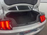 Ford Mustang bei Gebrauchtwagen.expert - Abbildung (7 / 15)