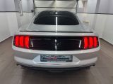 Ford Mustang bei Gebrauchtwagen.expert - Abbildung (6 / 15)