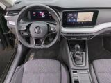 Skoda Octavia bei Gebrauchtwagen.expert - Abbildung (6 / 15)