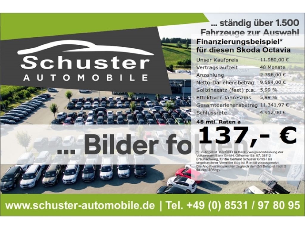 Skoda Octavia bei Gebrauchtwagen.expert - Hauptabbildung Skoda Octavia bei Gebrauchtwagen.expert - Hauptabbildung