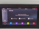 Seat Ibiza bei Gebrauchtwagen.expert - Abbildung (14 / 15)