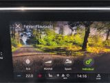 Skoda Octavia bei Gebrauchtwagen.expert - Abbildung (14 / 15)
