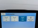 Ford Fiesta bei Gebrauchtwagen.expert - Abbildung (14 / 15)