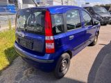 Fiat Panda bei Gebrauchtwagen.expert - Abbildung (5 / 6)