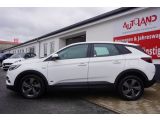 Opel Grandland X bei Gebrauchtwagen.expert - Abbildung (3 / 15)