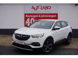 Opel Grandland X bei Gebrauchtwagen.expert - Abbildung (2 / 15)