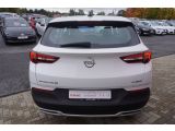 Opel Grandland X bei Gebrauchtwagen.expert - Abbildung (4 / 15)