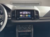 Skoda Karoq bei Gebrauchtwagen.expert - Abbildung (13 / 15)