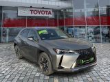 Lexus UX bei Gebrauchtwagen.expert - Abbildung (5 / 15) Lexus UX bei Gebrauchtwagen.expert - Abbildung (5 / 15)
