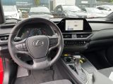 Lexus UX bei Gebrauchtwagen.expert - Abbildung (11 / 15)