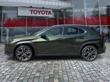 Lexus UX bei Gebrauchtwagen.expert - Abbildung (2 / 15)