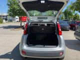 Fiat Panda bei Gebrauchtwagen.expert - Abbildung (7 / 15)