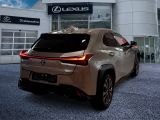 Lexus UX bei Gebrauchtwagen.expert - Abbildung (5 / 15)