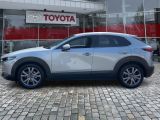 Mazda CX-30 bei Gebrauchtwagen.expert - Abbildung (2 / 15)