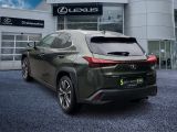 Lexus UX bei Gebrauchtwagen.expert - Abbildung (5 / 15) Lexus UX bei Gebrauchtwagen.expert - Abbildung (5 / 15)