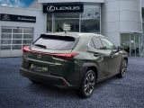 Lexus UX bei Gebrauchtwagen.expert - Abbildung (8 / 15)